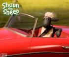 Koyun Shaun kırmızı Cabrio araba kullanmak